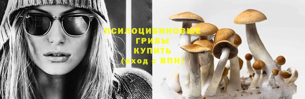 синтетический гашиш Богородск