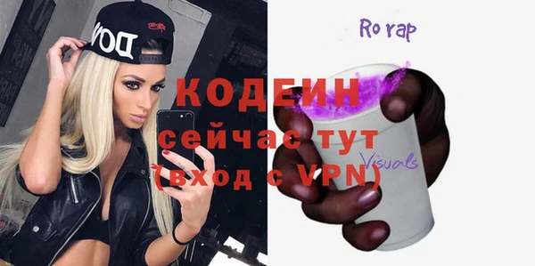 индика Богданович