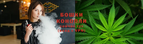 индика Богданович