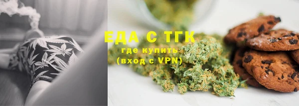 индика Богданович