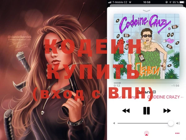 индика Богданович
