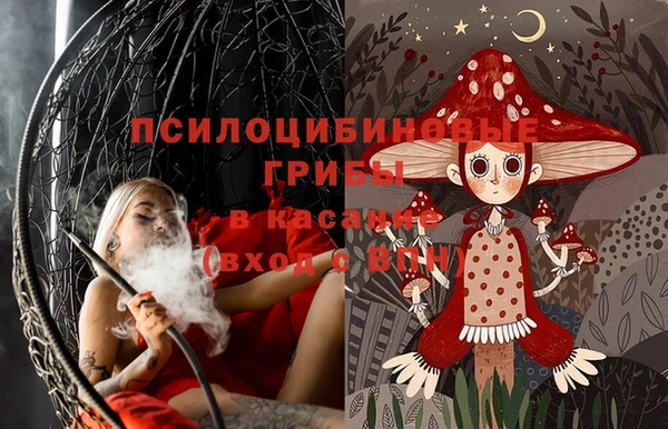 мескалин Богородицк