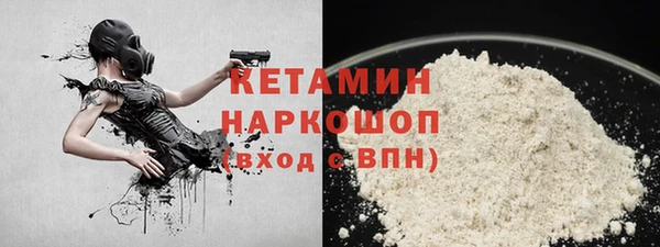 индика Богданович