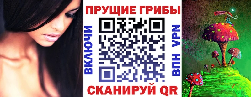 Псилоцибиновые грибы прущие грибы Вятские Поляны
